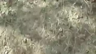 بي بي سي يدمر فتحة مراهقة سودانية ضيقة