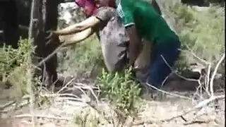 سكس في دم غرفه نوم