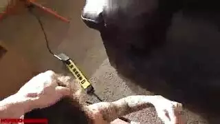 نيك مسيطر: هو يلحسها ثم هي تخدم زبه