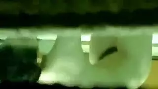 تحقيق فانتازيا الوحش جنس حيواني خام