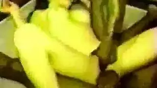 شريط جنسي لثدي كبير