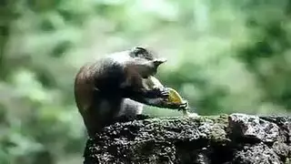 ضرب كس حلو بقضيب هوليوودي صلب كالصخر