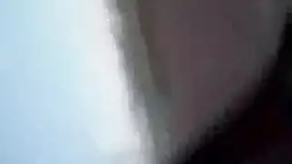 إباحية حديقة الحيوان: رغبات محبوسة