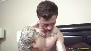 إيراني الهرة قلص المجموعة العربدة