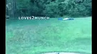 وصول سارة الإباحي: نيك المترجم القاسي