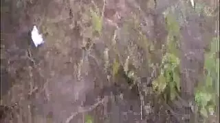 سكس نياء ناضجات