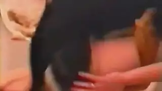 سكس متوحش مع حيوانات وعابرون جنسياً وكلب