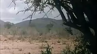 فيلم سكس إيطالي خادمة منزل