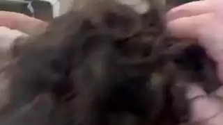 فلم الينا انجل ويوسف الجديد