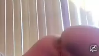 الشرج مزدوج اللسان الشرج هزة الجماع