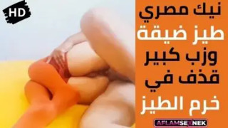 سكس مصري 2021 | نيك وقذف في الطيز الضيقة