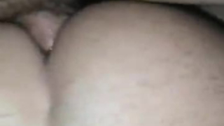 المتأنق الغريب مع الديك يركب أربعة الديوك البيضاء ويحفر من الخلف