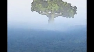 اغتصاب نساء كبار السن عجايز