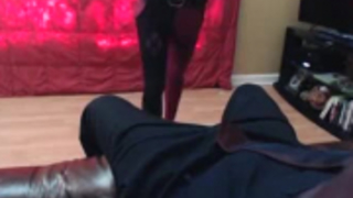 تجميع الحشرات هارلي نيكسكس