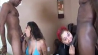 صورسكس زنوج نيقس متحرك