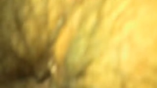 سكس كونغو زب اكبر في قبيلة افريقيا