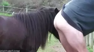 جنس شاب مع حصان Xnxx حصان حصان Yenick مثلي الجنس
