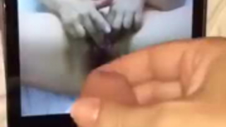 نائب الرئيس تحية إلى الجمال إلى كس