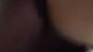 المنزل لا يحتاج إلى كاميرا أمنية، ولكن اثنين من مثلثين يمكن أن يروا صديقاتهم وجود الثلاثي.